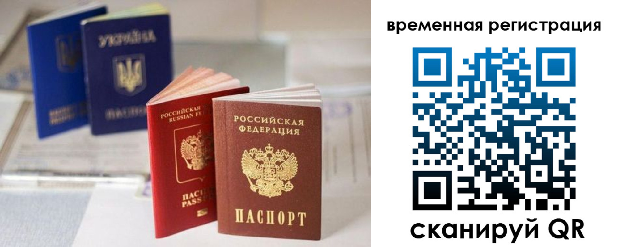 прописка поиск в Хвалынске